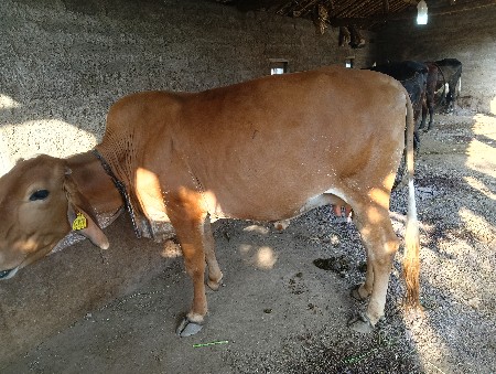 થંબનેલ 2