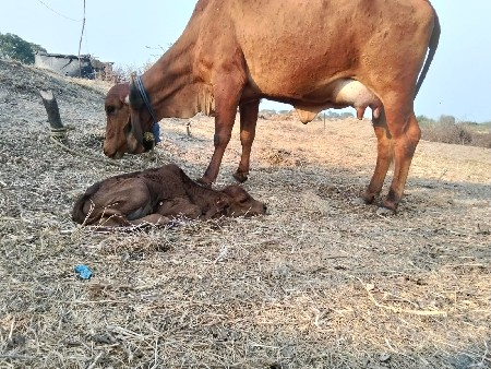 थंबनेल 2