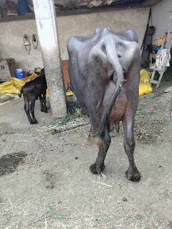 थंबनेल 2