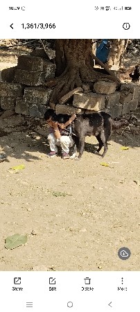 थंबनेल 3