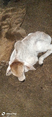 थंबनेल 2