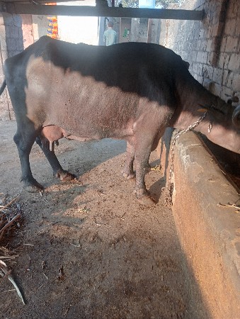 थंबनेल 2