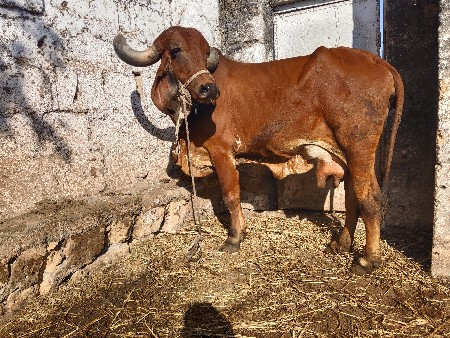 थंबनेल 2