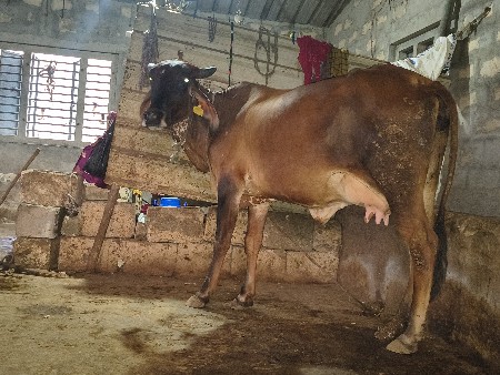 थंबनेल 2