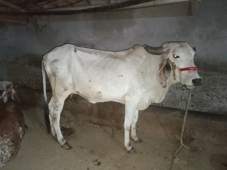 थंबनेल 2