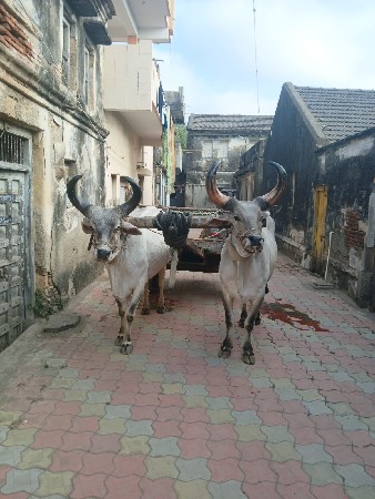 થંબનેલ 3