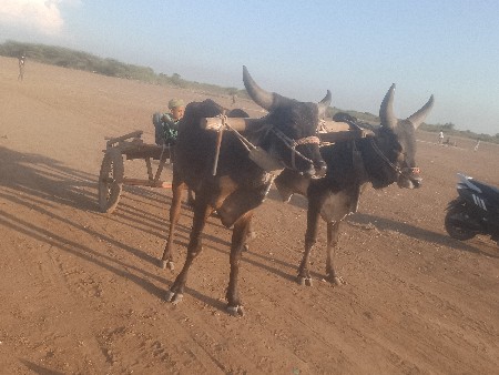 थंबनेल 3