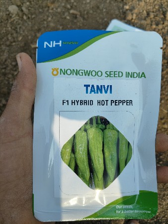 મારચી નો રોપ