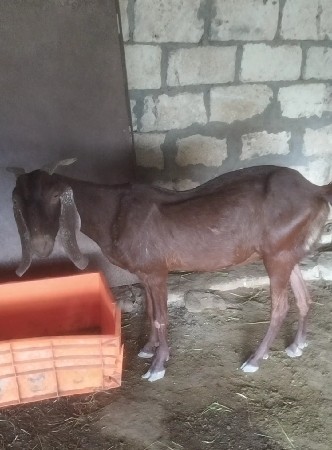 थंबनेल 2