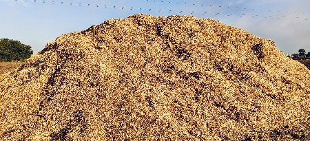 ચણા નું ખારિયું વેચવાનું છે