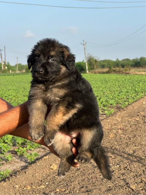 થંબનેલ 2