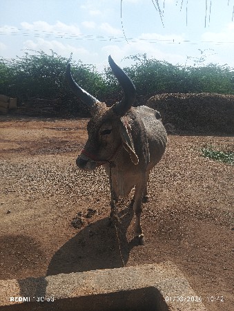 थंबनेल 3