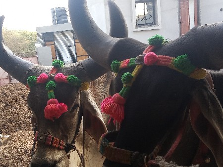 थंबनेल 2