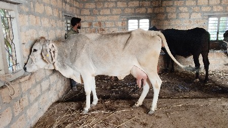 थंबनेल 2