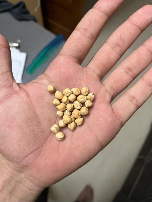 બીટુ ચણા વેચવાના છે