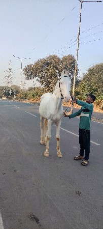 થંબનેલ 2