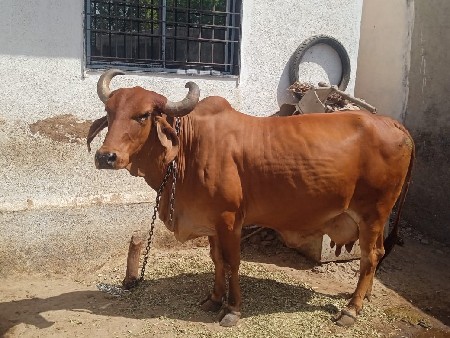 थंबनेल 2