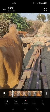 थंबनेल 2