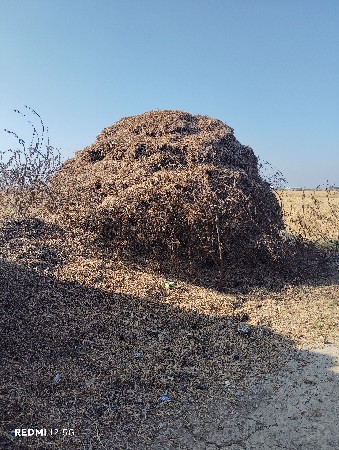 ભકતો વેશવાનો છે