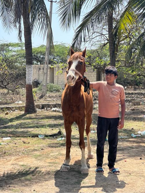 थंबनेल 2