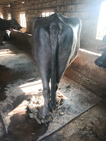 થંબનેલ 3