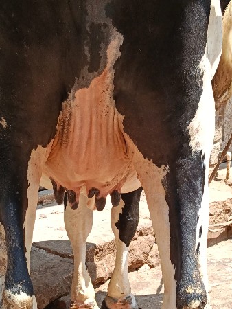 थंबनेल 3