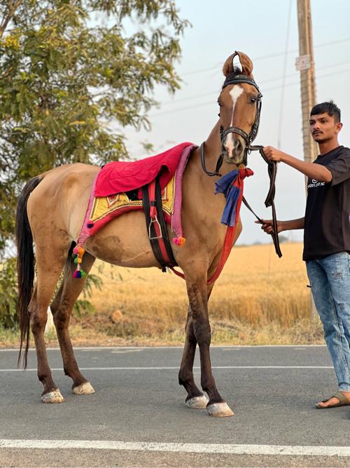 थंबनेल 2