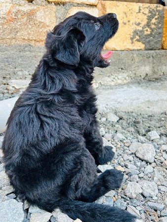 थंबनेल 3