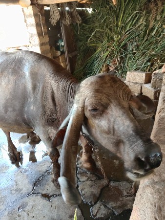 थंबनेल 2