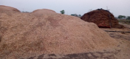 વટાણા નો ભૂકો