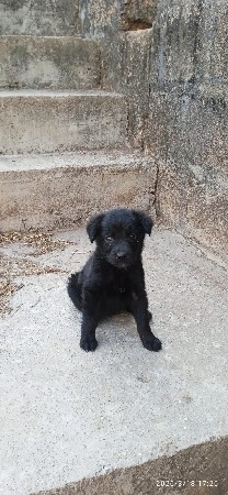 થંબનેલ 2