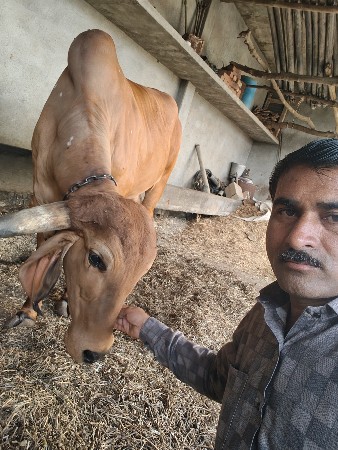 थंबनेल 2