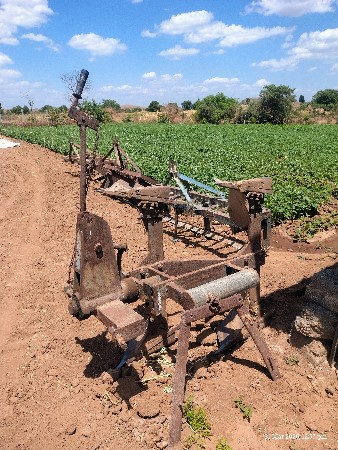 હળ પલાવ  વેચવા નું છે