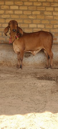 थंबनेल 2