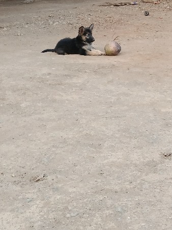 थंबनेल 3