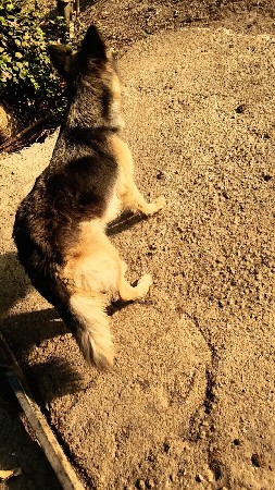 moti fimel vesavani se