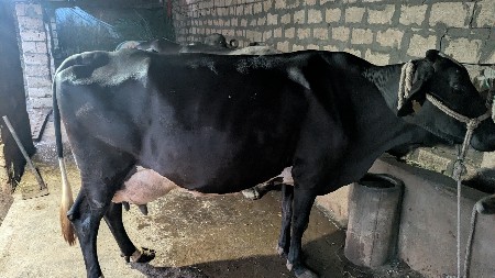 थंबनेल 2