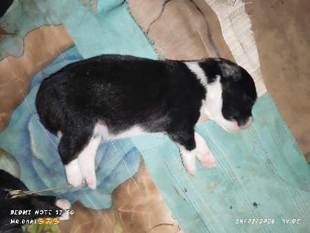 થંબનેલ 2