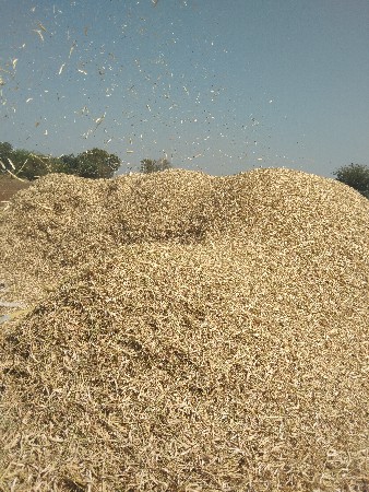 રાજમો નો ભૂકો