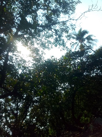 જમીન વેચવાની છે