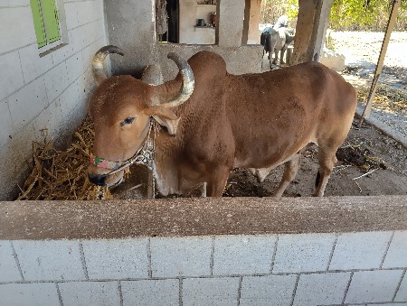 थंबनेल 2