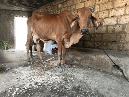 थंबनेल 2