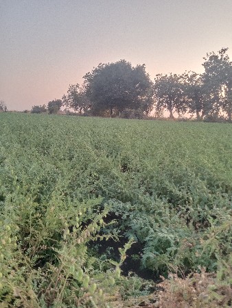 थंबनेल 3