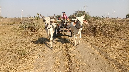 थंबनेल 2