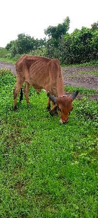 थंबनेल 2