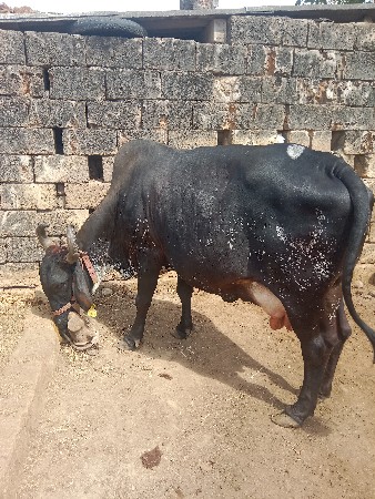 थंबनेल 2