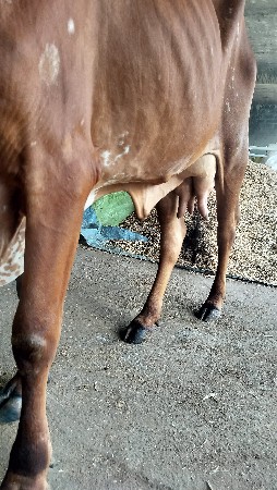 થંબનેલ 2