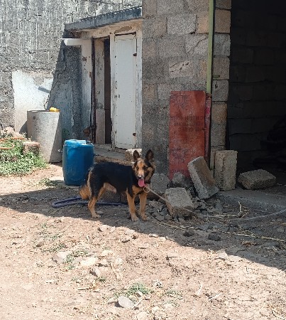 થંબનેલ 3