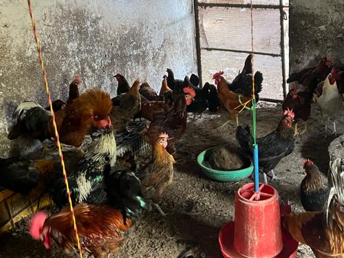 थंबनेल 2