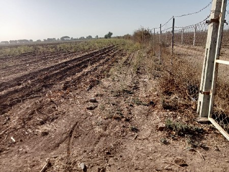 ખેતીની જમીન વેચવાની છે